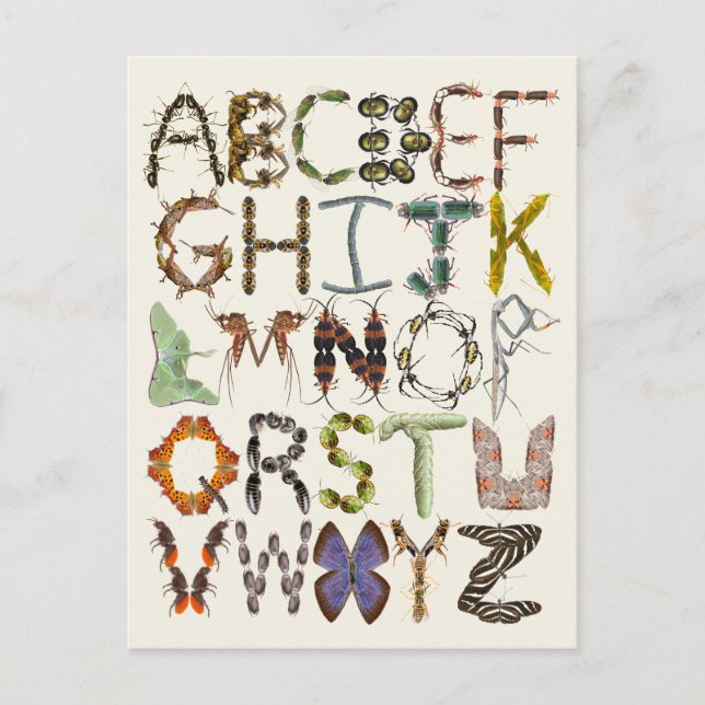 Cartão Postal Alfabeto do inseto - Insetar a arte infantil temid (Frente)