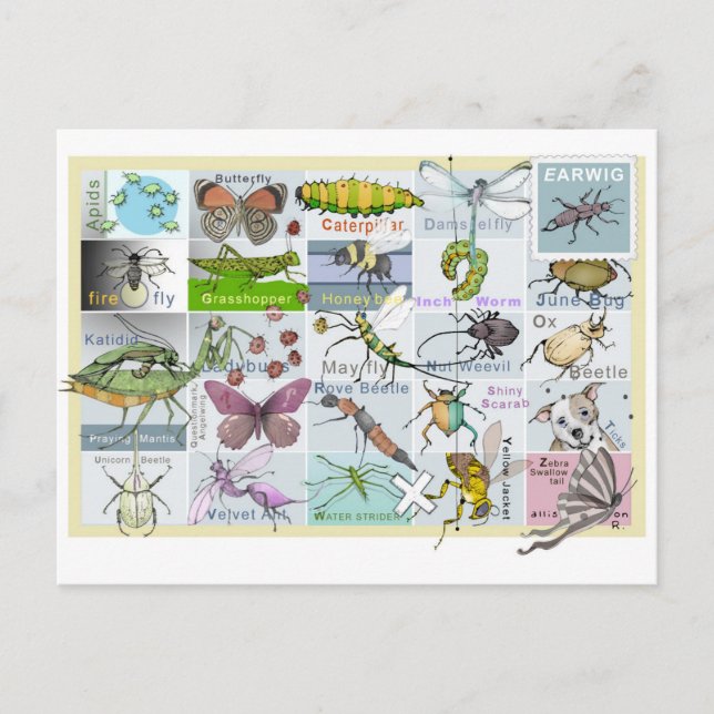 Cartão Postal Alfabeto Inseto (Frente)