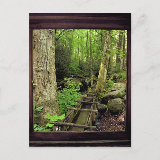 Cartão Postal Alfred Reagan's Mill (Frente)