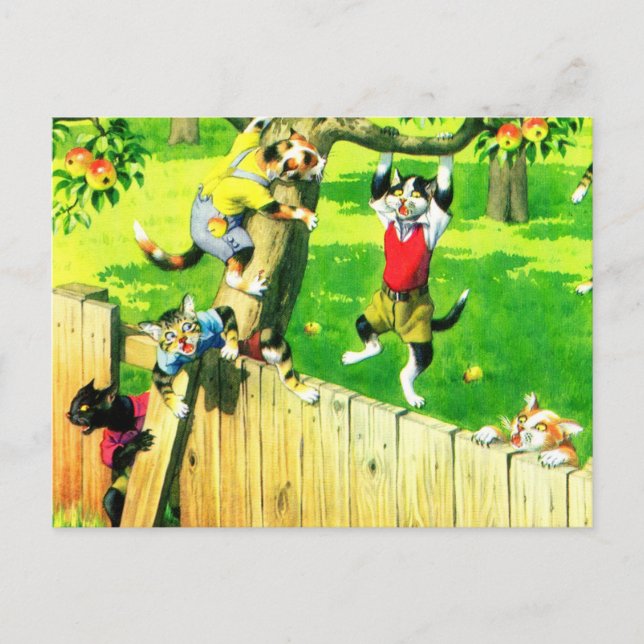 Cartão Postal Alfredo Mainzer trepando uma macieira (Frente)