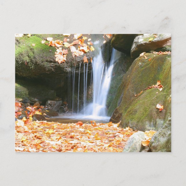 Cartão Postal Algo diferente (Frente)