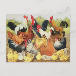 Cartão Postal Algo sobre o qual cortar