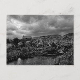 Cartão Postal Algodão Abandonado Connemara II