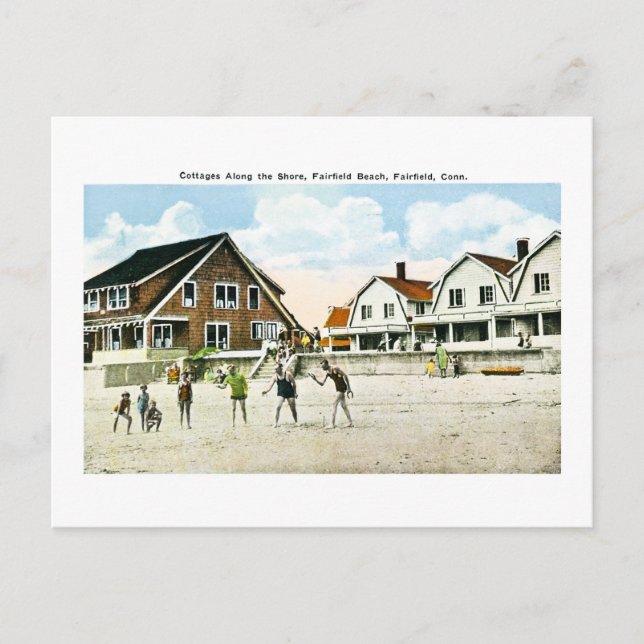 Cartão Postal Algodão ao longo da costa, Fairfield, Connecticut (Frente)