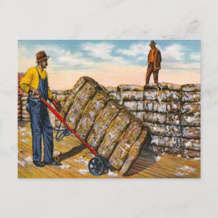 Cartão Postal Algodão Balança no Profundo 1920 do Sul