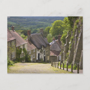 Cartão Postal Algodão em Dourado Hill, Shaftesbury, Dorset,
