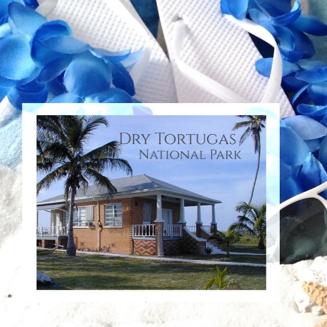 Cartão Postal Algodão no Loggerhead Key Dry Tortugas (Criador carregado)