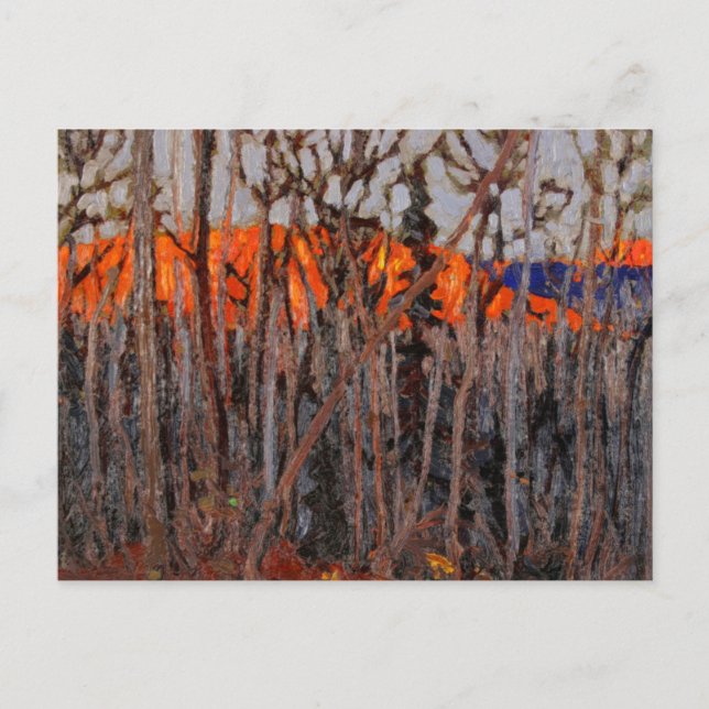 Cartão Postal Algonquin Park (Frente)