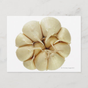 Cartão Postal Alho isolado sobre fundo branco, imagem DFF,