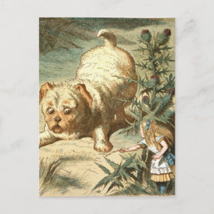 Cartão Postal Alice