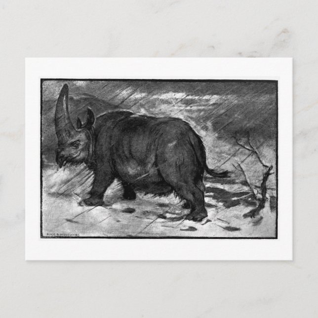Cartão Postal Alice B. Madeira: Cartaz de arte Elasmotherium (Frente)
