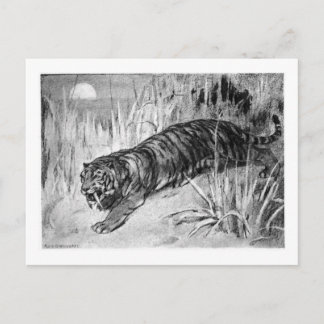 Cartão Postal Alice B. Madeira: Machaerodus art poscard