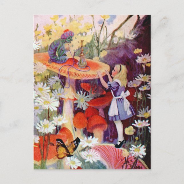 Cartão Postal Alice busca conselhos da lagarta (Frente)