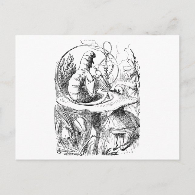 Cartão Postal Alice consulta The Caterillar (Frente)