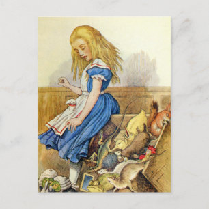 Cartão Postal Alice Dica a Caixa de Júri no Jazio dos Corações