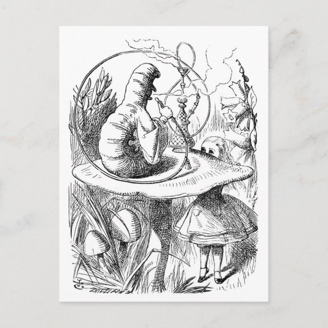 Cartão Postal Alice encontra a lagarta - Alice no País das Marav (Frente)