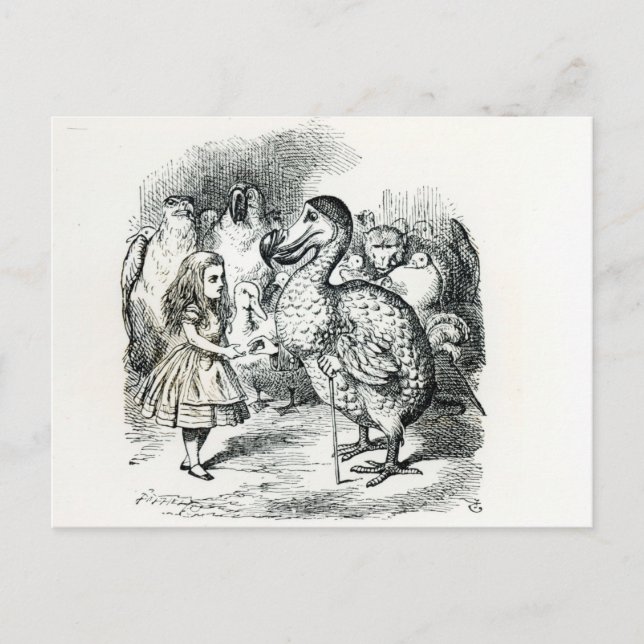 Cartão Postal Alice encontra o Dodo (Frente)