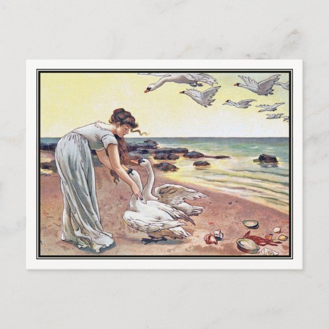 Cartão Postal Alice Havers - Os Cisnes Brancos (Frente)