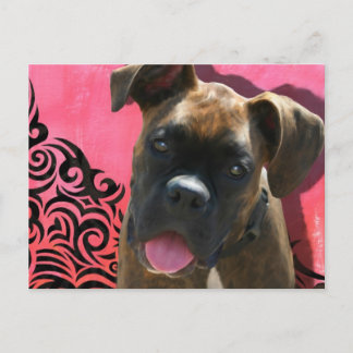 Cartão Postal Alice o Pup Boxer de Jen Geraghty