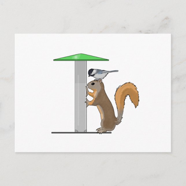 Cartão Postal Alimentador de aves vazio (Frente)