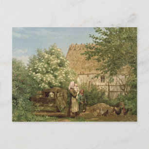 Cartão Postal Alimentando os frangos