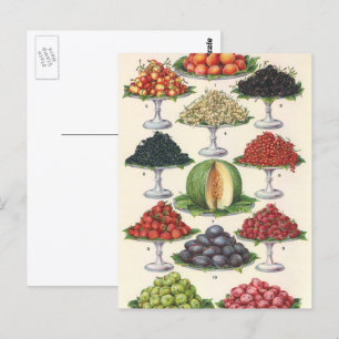 Cartão Postal Alimentos Antigos Frutas Sortidas em Bandejas para