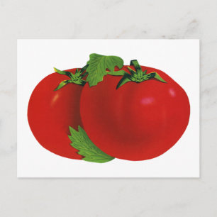 Cartão Postal Alimentos Antigos, Tomate Orgânico Vermelho Maduro