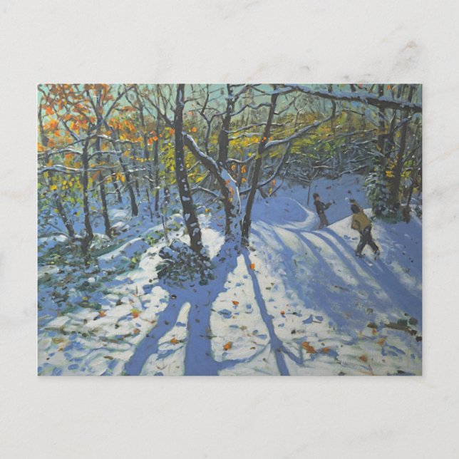 Cartão Postal Allestree Park Woods novembro de 2010 (Frente)