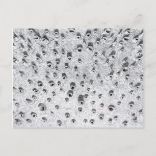 Cartão Postal allí, um mundo mais seco