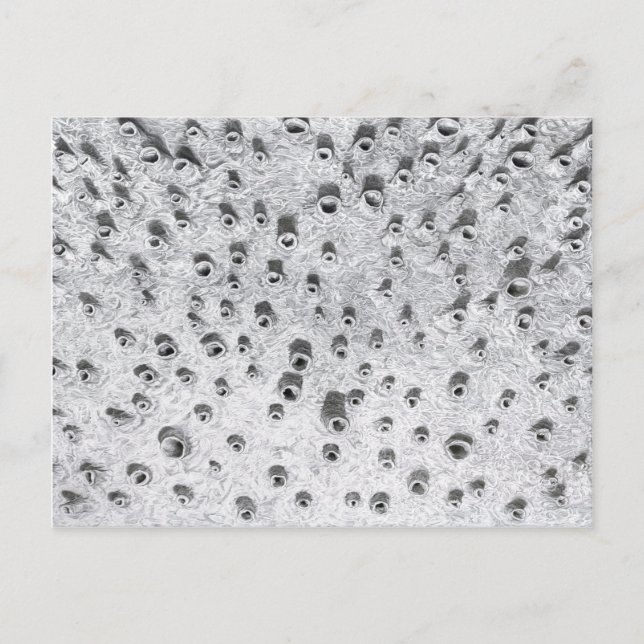 Cartão Postal allí, um mundo mais seco (Frente)