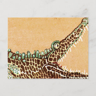 Cartão Postal Alligador