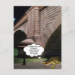 Cartão Postal Alligador nadando pela Ponte de Londres