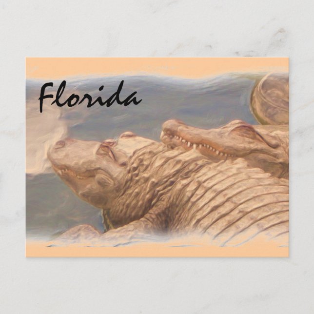 Cartão postal Alligator love Florida (Frente)