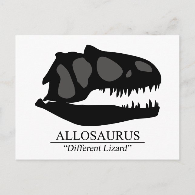 Cartão Postal Allosaurus Skull (Frente)