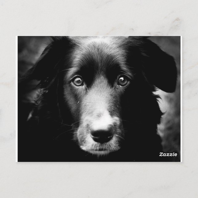 Cartão Postal Alma (Verso)