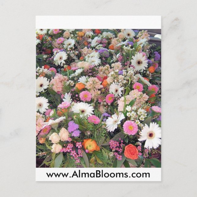 Cartão Postal Alma Blooms 1 (Frente)