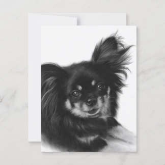 Cartão Postal Alma Doce - Trabalho de arte Chihuahua Pintado à M