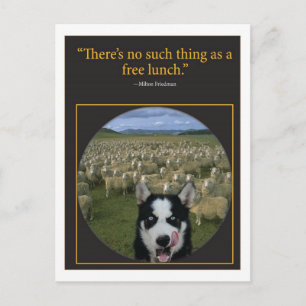 Cartão Postal Almoço Livre