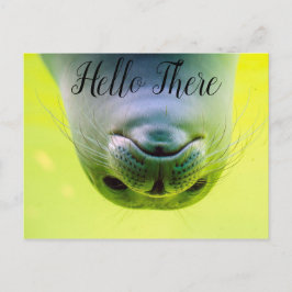 Cartão Postal Alô Ali Seal