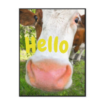 Alô de vaca engraçado