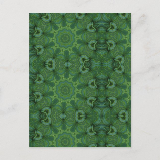 Cartão Postal Aloe Ali (Frente)