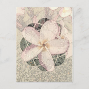 Cartão Postal Aloha Blossom