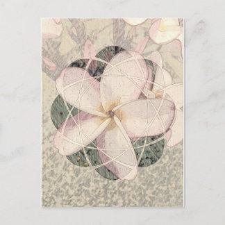 Cartão Postal Aloha Blossom