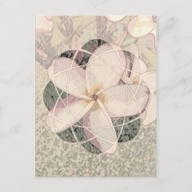 Cartão Postal Aloha Blossom (Frente)