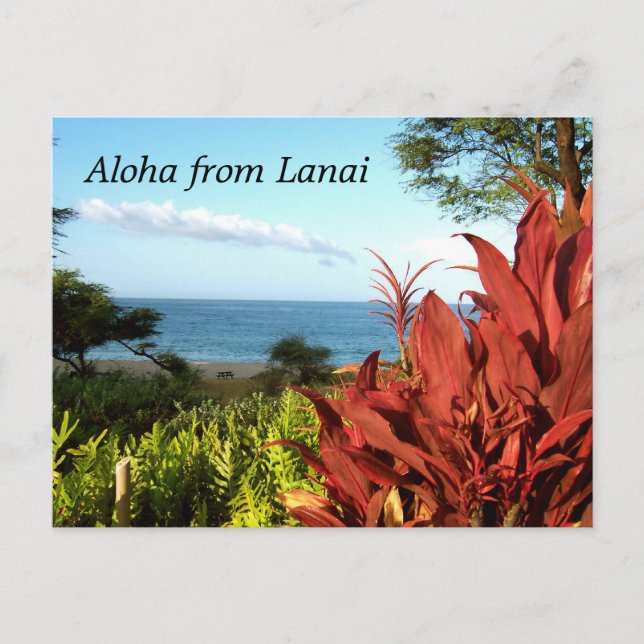 Cartão Postal Aloha de Lanai Hawaii (Frente)