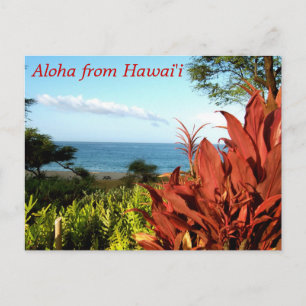 Cartão Postal Aloha do Havaí