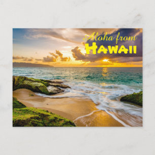 Cartão Postal Aloha do Havaí