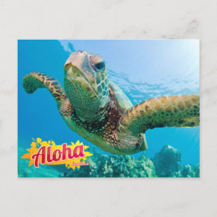 Cartão Postal Aloha do Havaí Tartaruga Marinha Verde Postcard