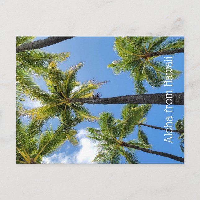Cartão Postal Aloha from Hawaii (Frente)