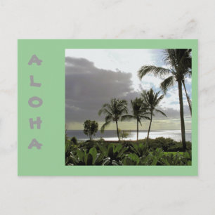CARTÃO POSTAL "ALOHA OF MAUI"